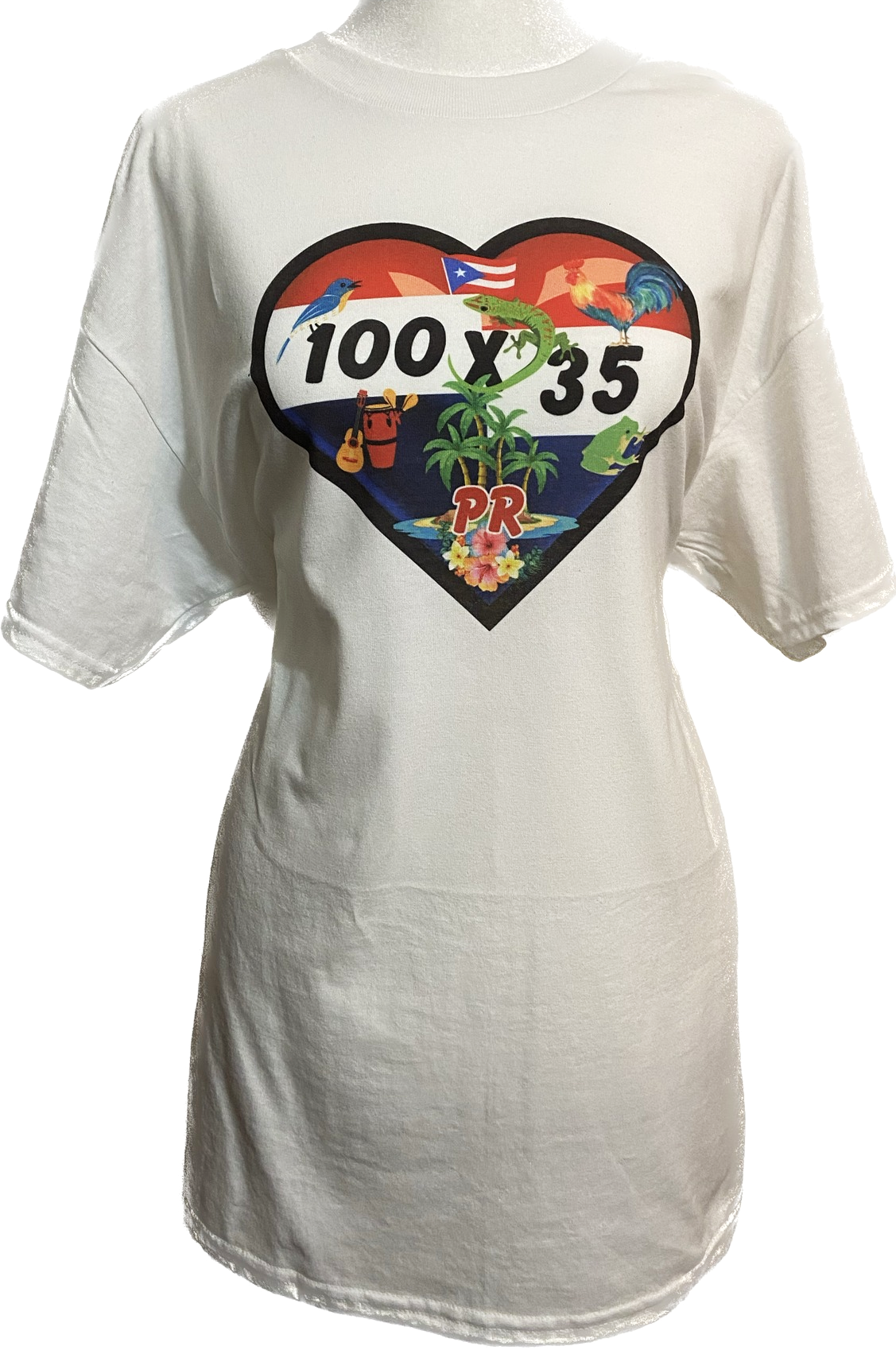 100 X 35 Puerto Rico Heart
